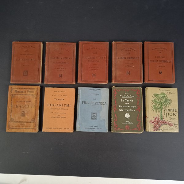 set manuali hoepli vari annate e tipologie 